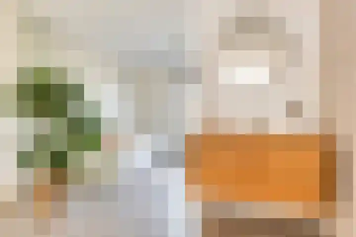 Vervoorenstraat 33 Amsterdam thumbnail 24