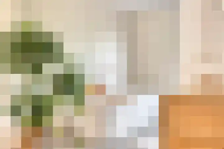 Vervoorenstraat 33 Amsterdam thumbnail 26