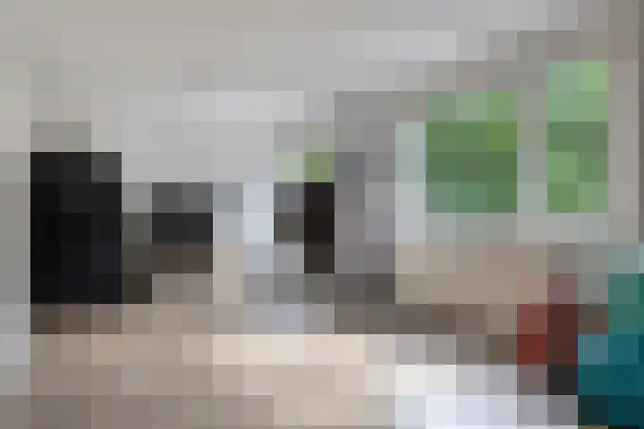 Vervoorenstraat 33 Amsterdam thumbnail 37