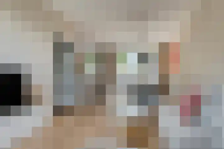 Vervoorenstraat 33 Amsterdam thumbnail 4
