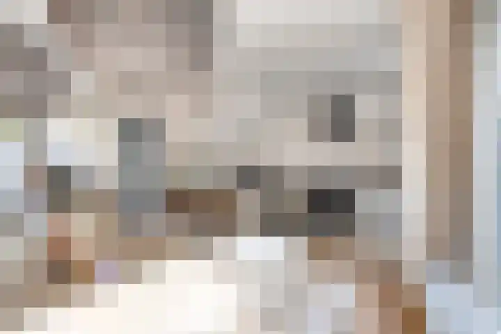 Vervoorenstraat 33 Amsterdam thumbnail 9