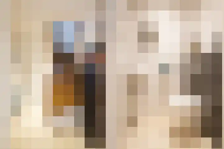 Vervoornlaan 15 Herwijnen thumbnail 13