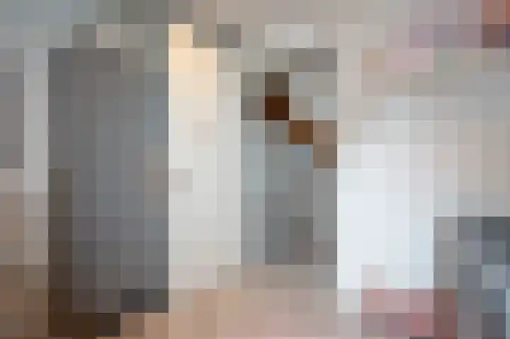Vervoornlaan 15 Herwijnen thumbnail 20