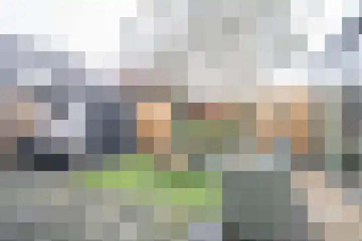 Vervoornlaan 15 Herwijnen thumbnail 26