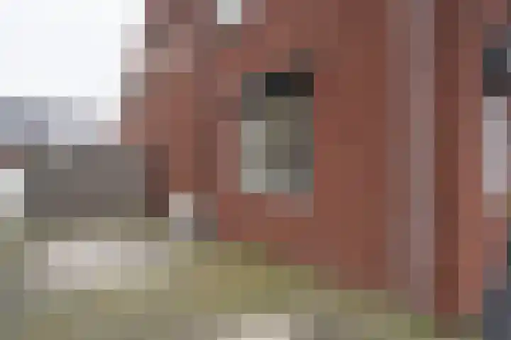 Vervoornlaan 15 Herwijnen thumbnail 31