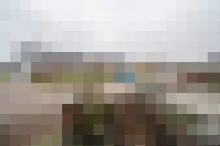 Vervoornlaan 15 Herwijnen thumbnail 32