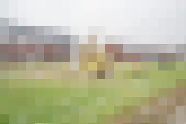 Vervoornlaan 15 Herwijnen thumbnail 33