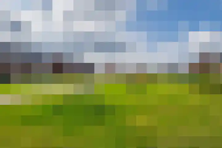 Vervoornlaan 17 Herwijnen thumbnail 31