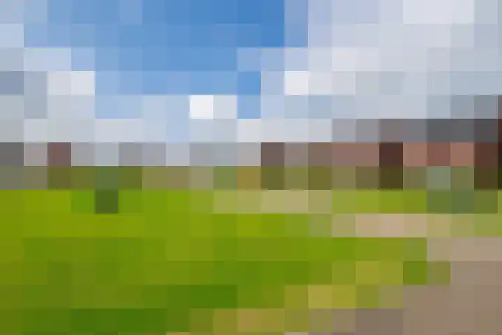 Vervoornlaan 17 Herwijnen thumbnail 4