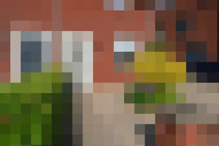Vervoornlaan 17 Herwijnen thumbnail 6