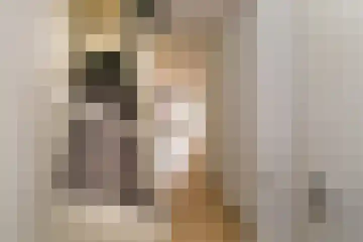 Vervoornlaan 17 Herwijnen thumbnail 8