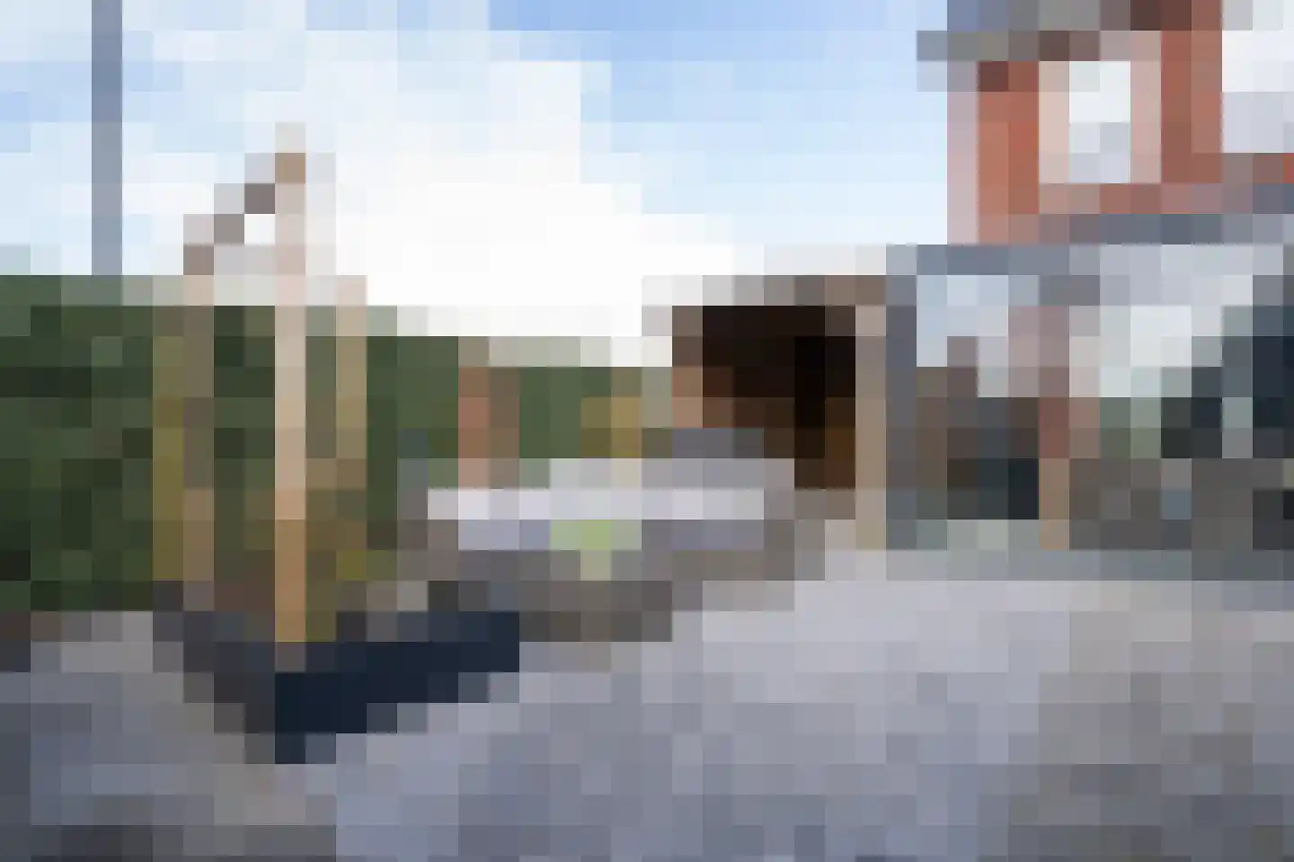 Vervoornlaan 39 Herwijnen thumbnail 31