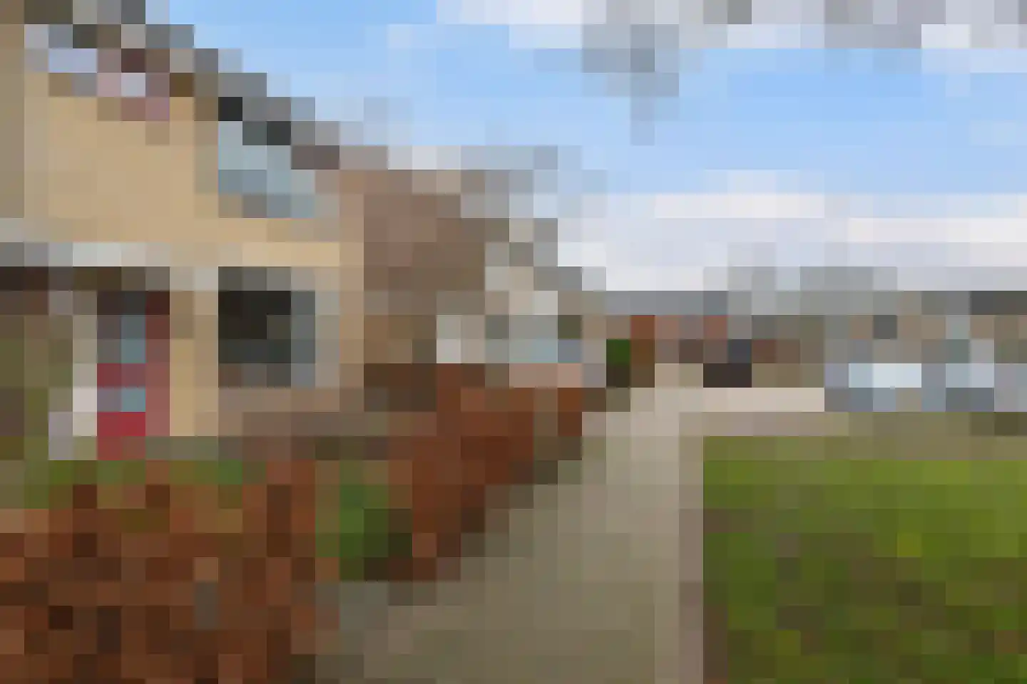 Vervoornstraat 38 Putten thumbnail 62