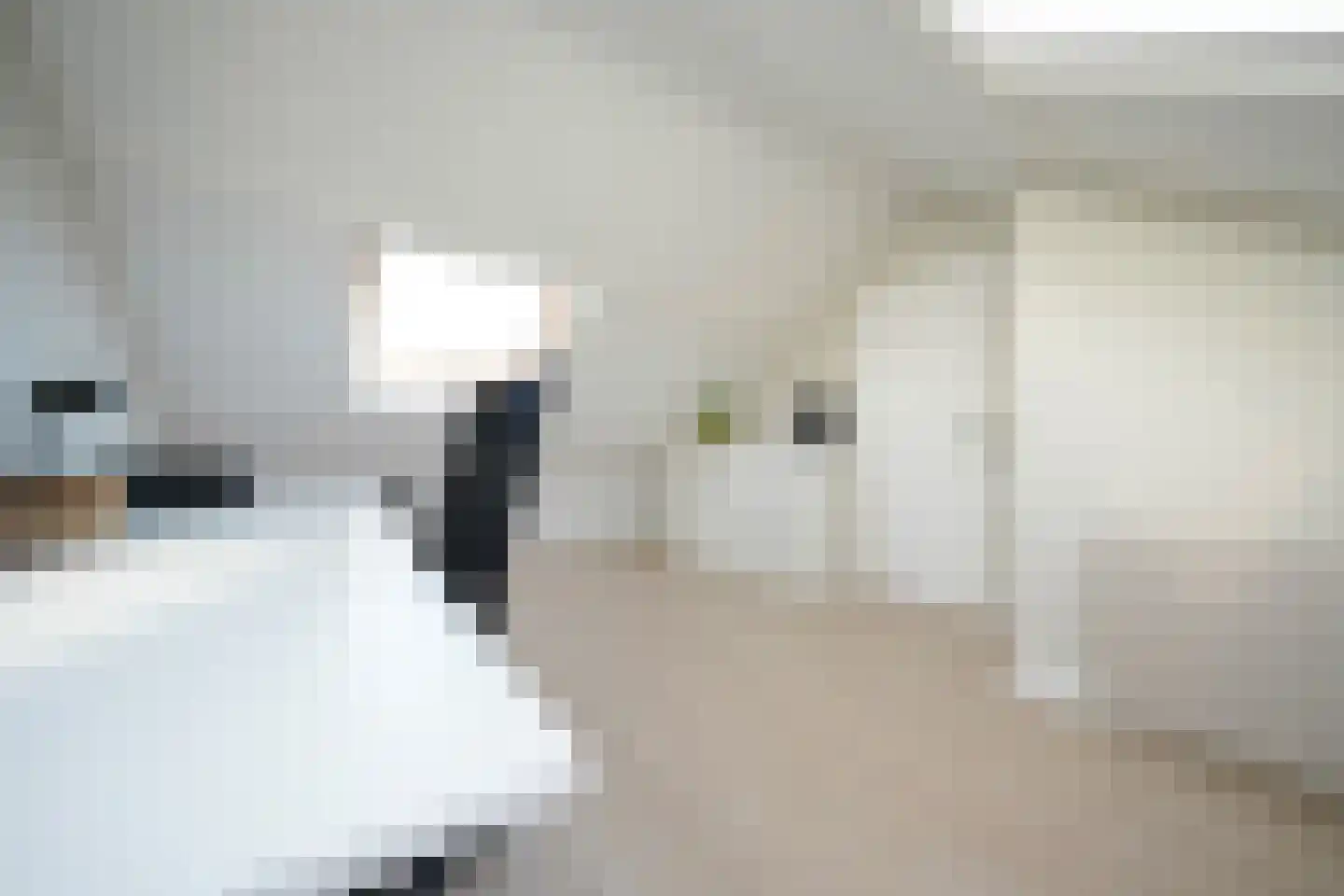 Vervoornstraat 54 Putten thumbnail 37
