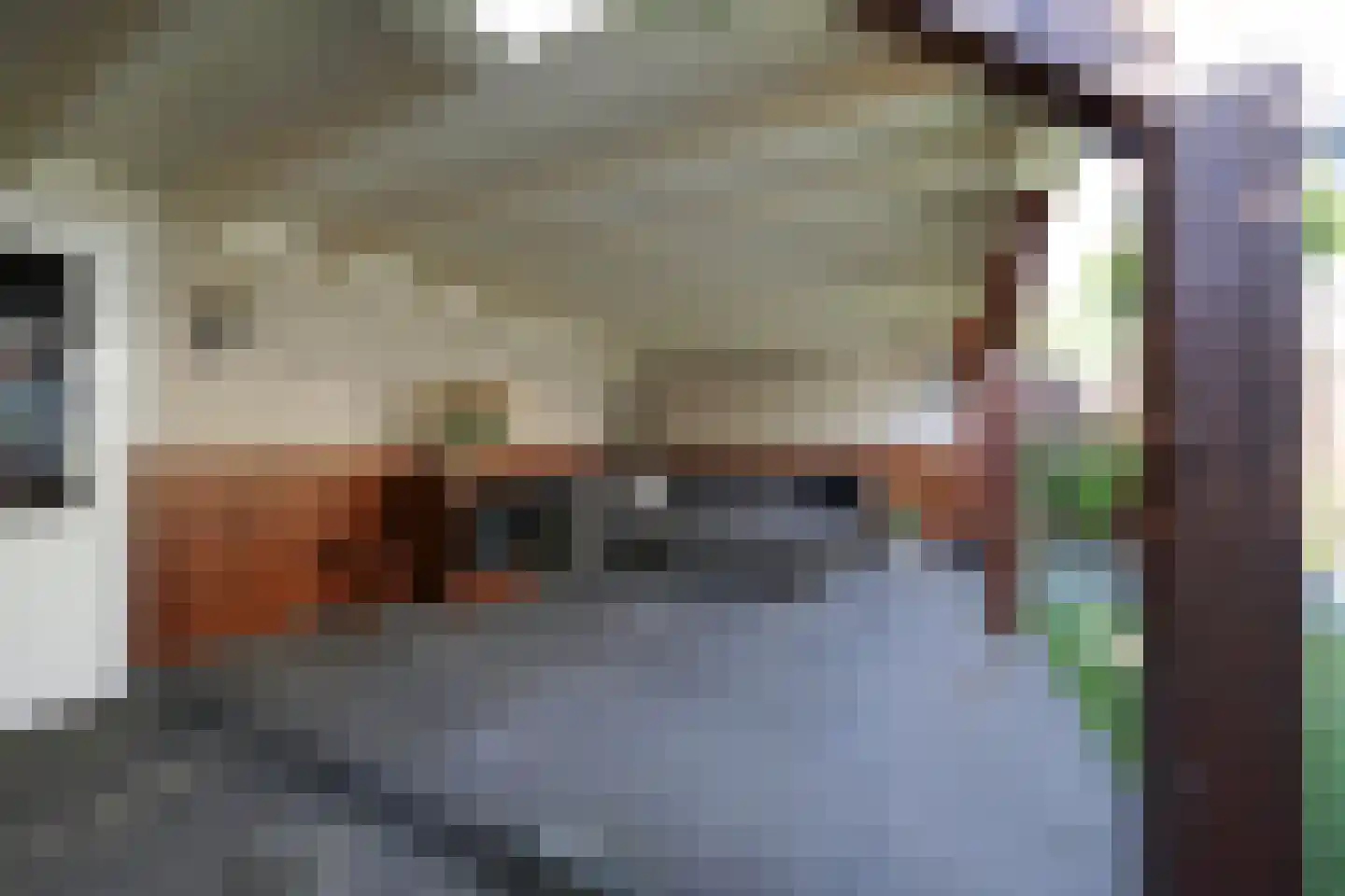 Vervoornstraat 54 Putten thumbnail 41