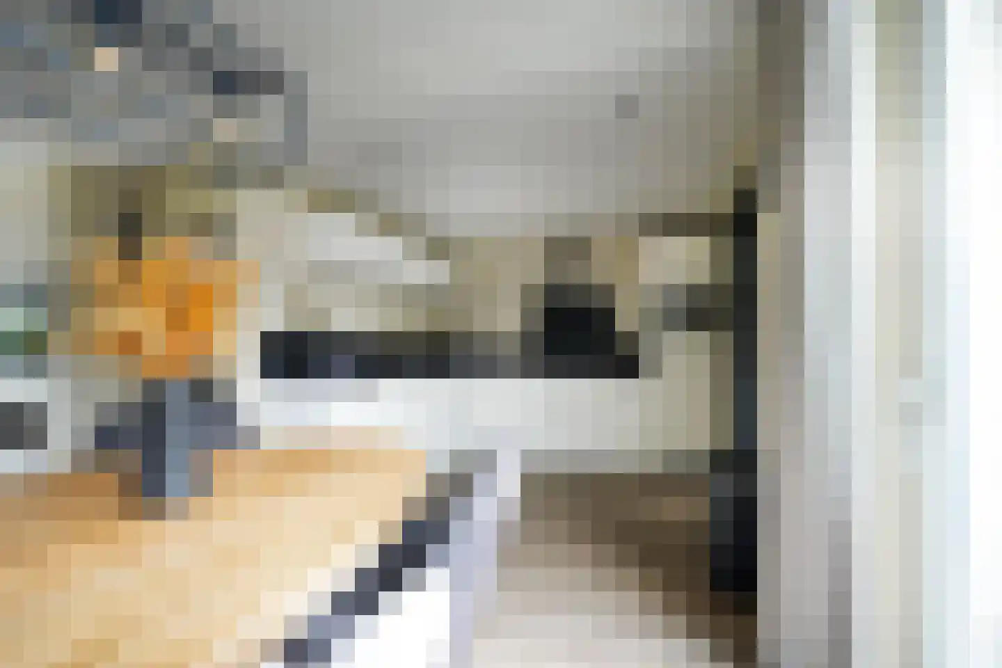 Vervoornstraat 6 Putten thumbnail 15