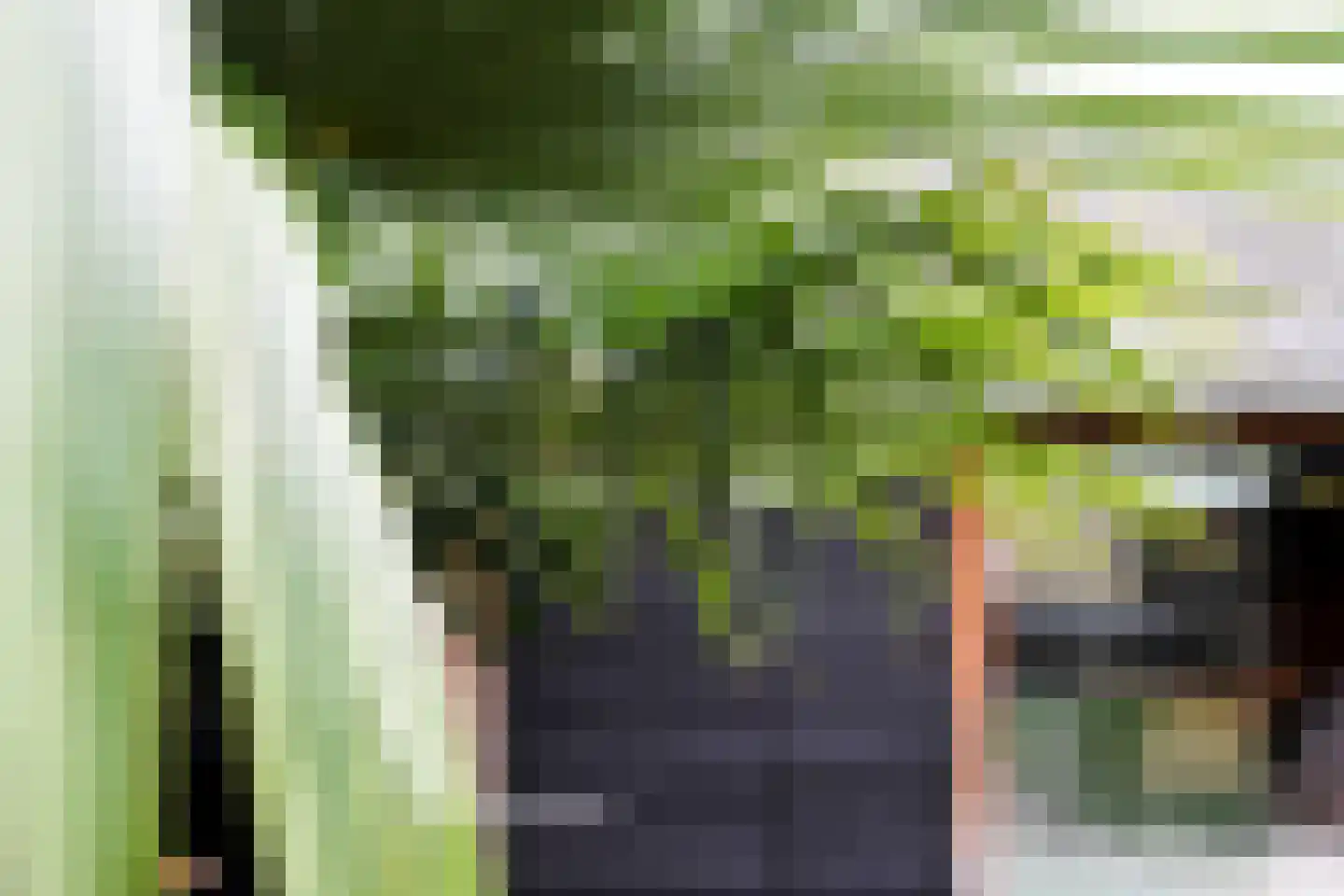 Vervoornstraat 6 Putten thumbnail 29