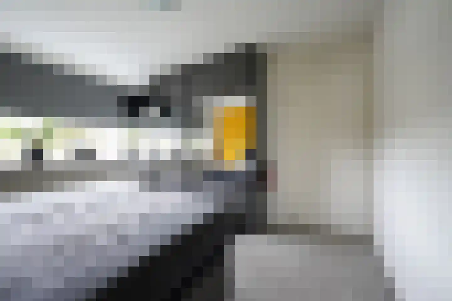 Vervoornstraat 6 Putten thumbnail 35