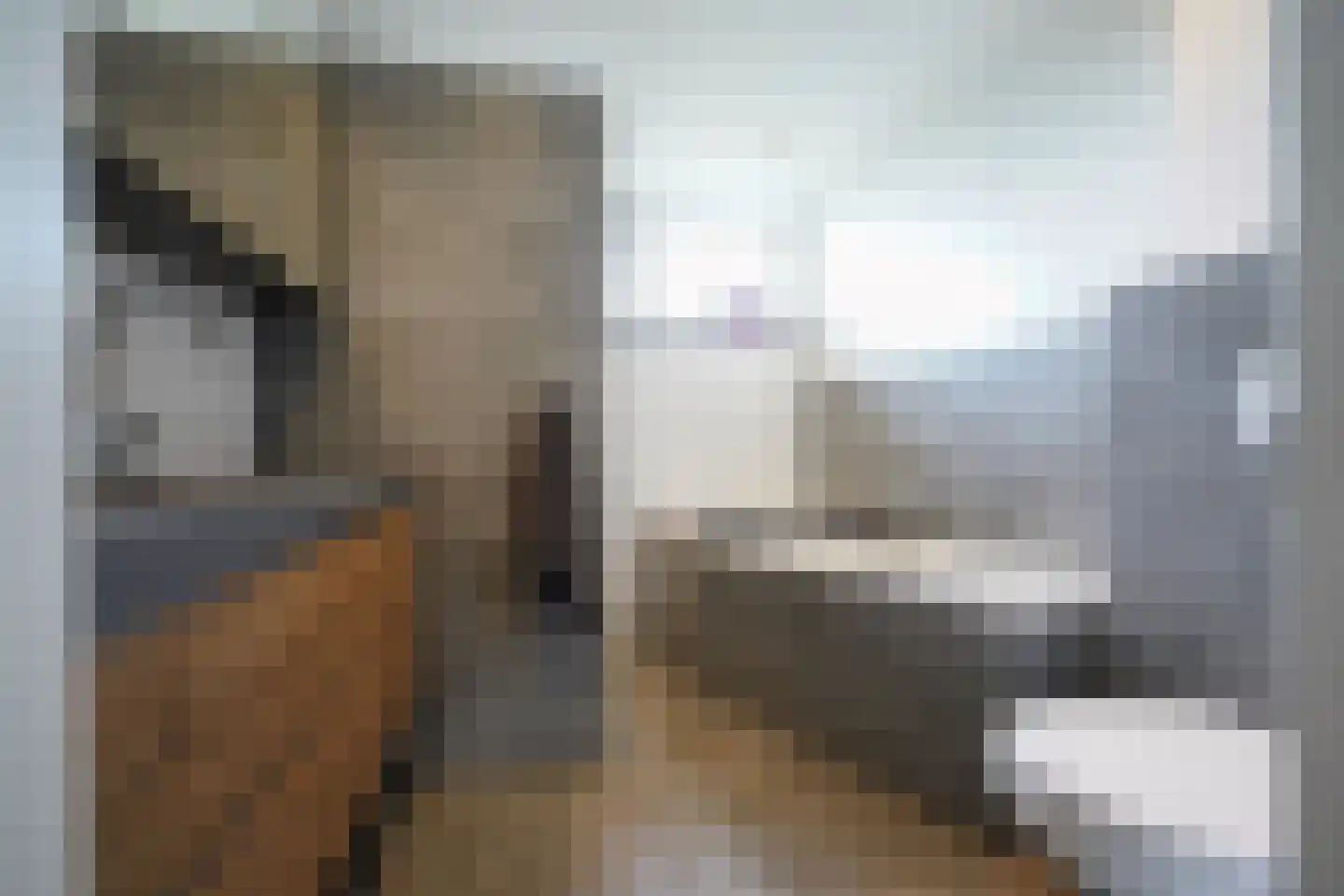 Vervoornstraat 6 Putten thumbnail 36