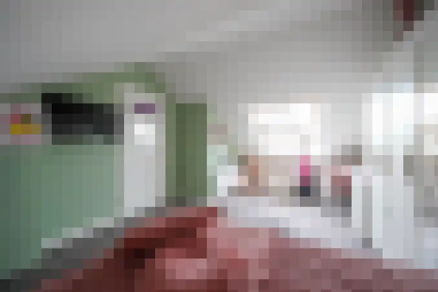 Vervoornstraat 6 Putten thumbnail 47