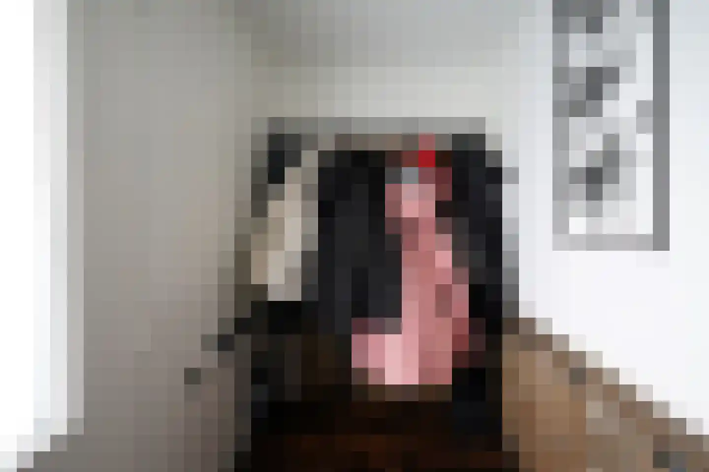 Vervoornstraat 6 Putten thumbnail 6