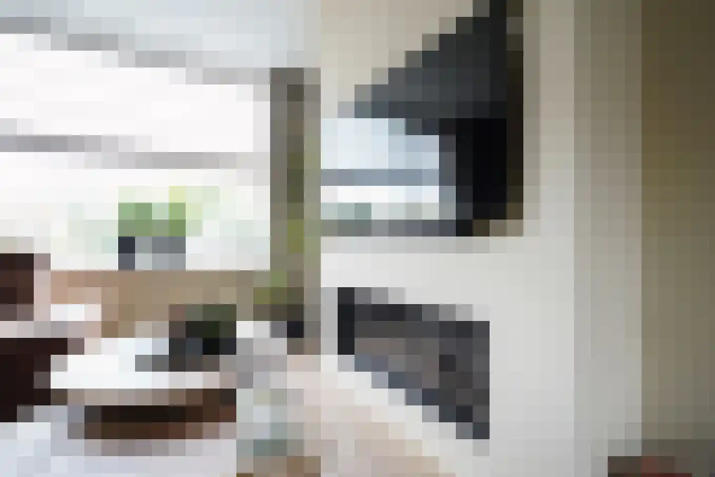 Vervoornstraat 6 Putten thumbnail 9