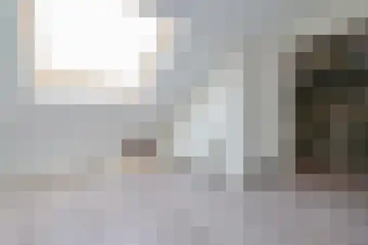 Vervoornstraat 76 Putten thumbnail 32