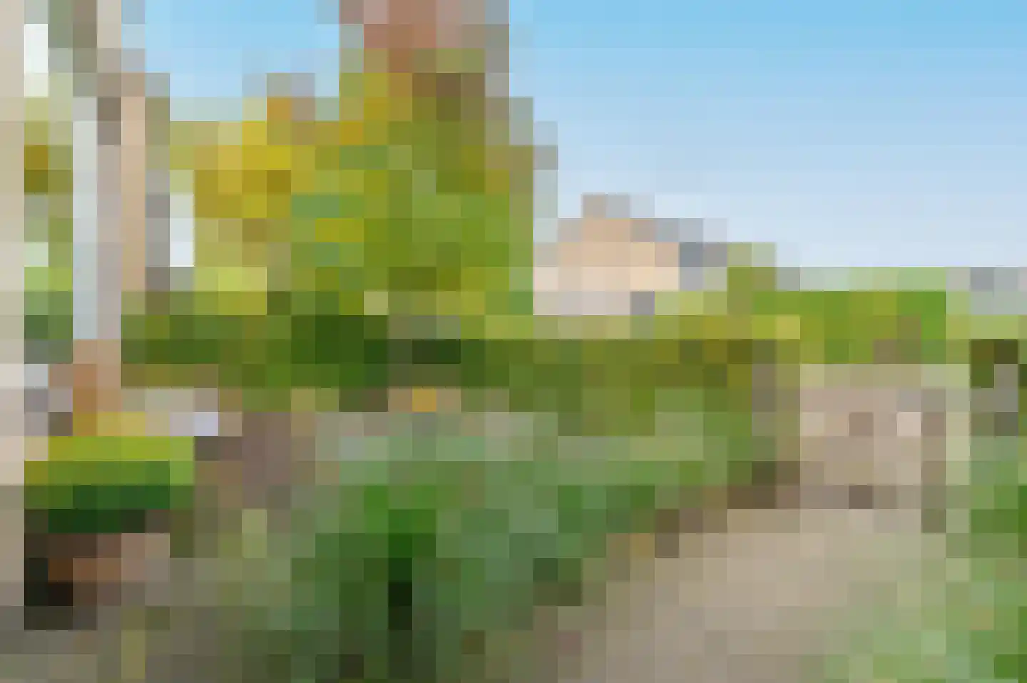 Vervoornstraat 81 Putten thumbnail 38