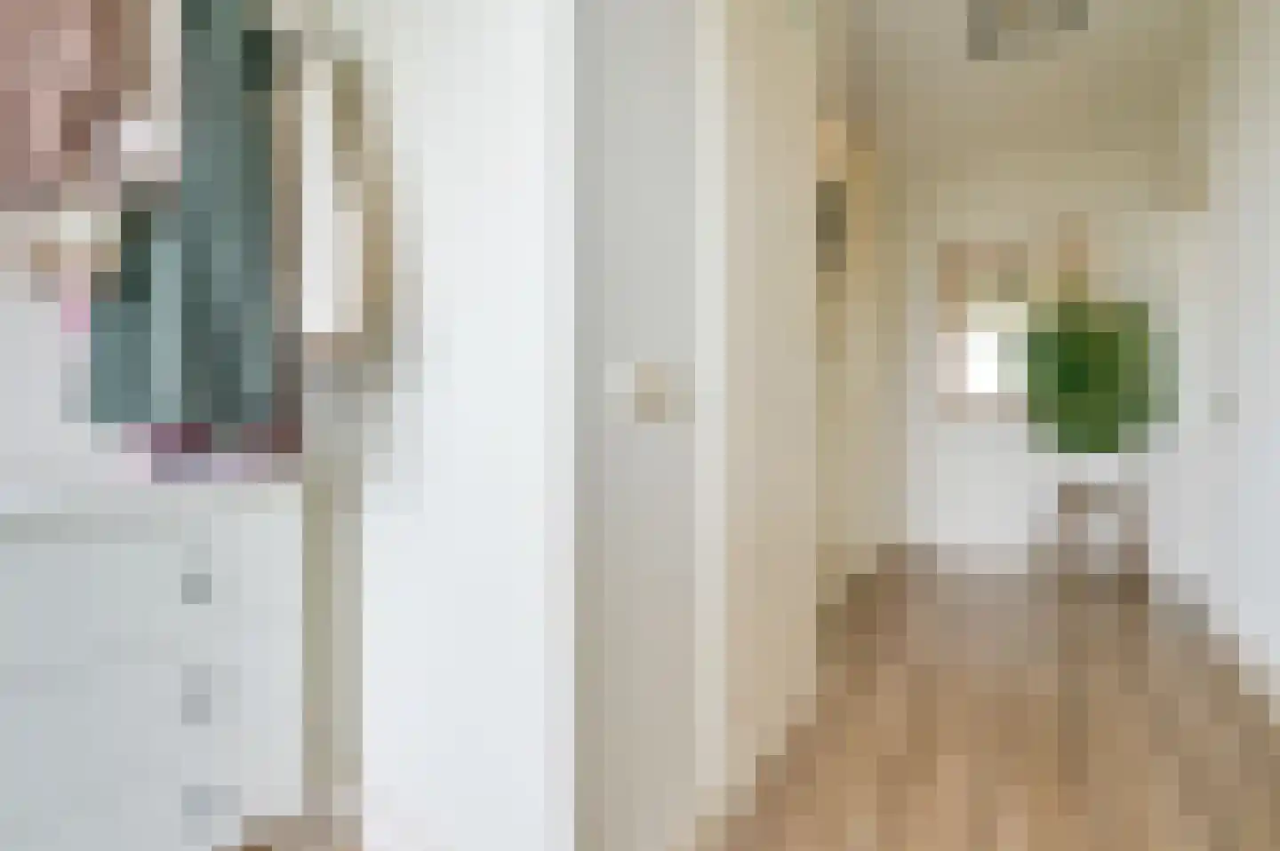 Vervoornstraat 81 Putten thumbnail 5