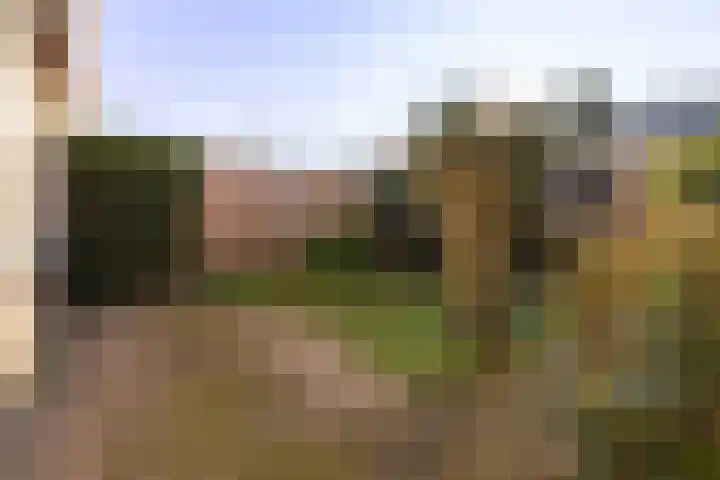 Vervoornstraat 91 Putten thumbnail 8