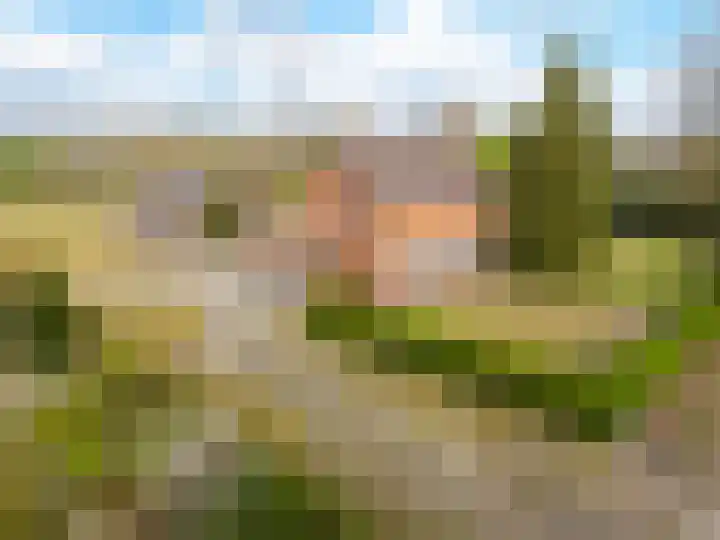 Vervul 4 en Rijsbergen