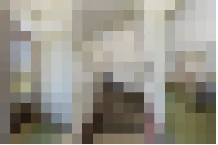 Vervul 4 Rijsbergen thumbnail 12