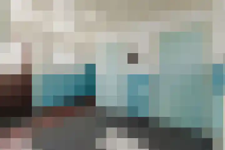 Vervul 4 Rijsbergen thumbnail 19