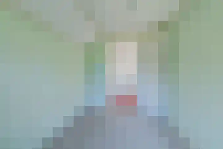 Vervul 4 Rijsbergen thumbnail 24