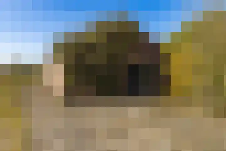 Vervul 4 Rijsbergen thumbnail 27