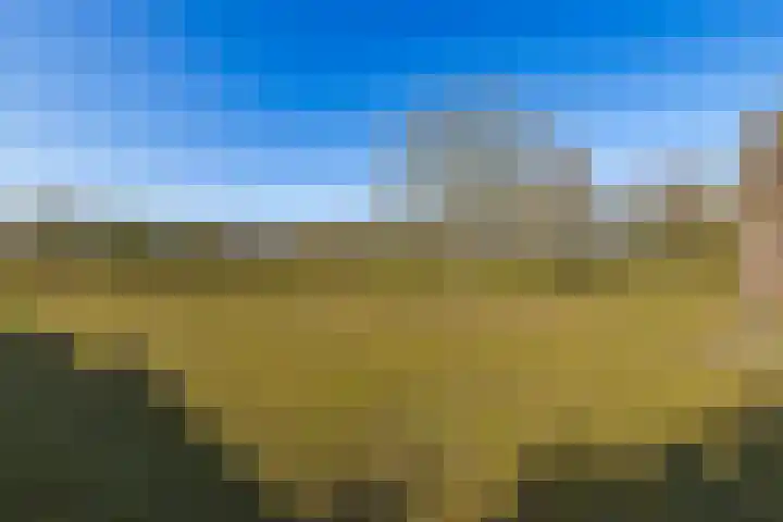 Vervul 4 Rijsbergen thumbnail 31