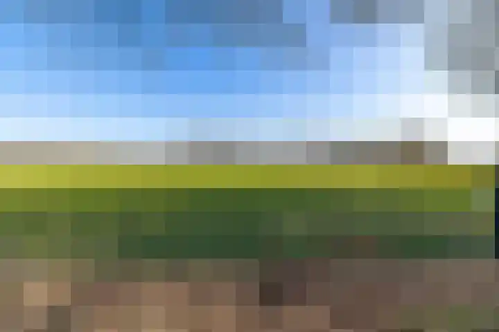 Vervul 4 Rijsbergen thumbnail 32
