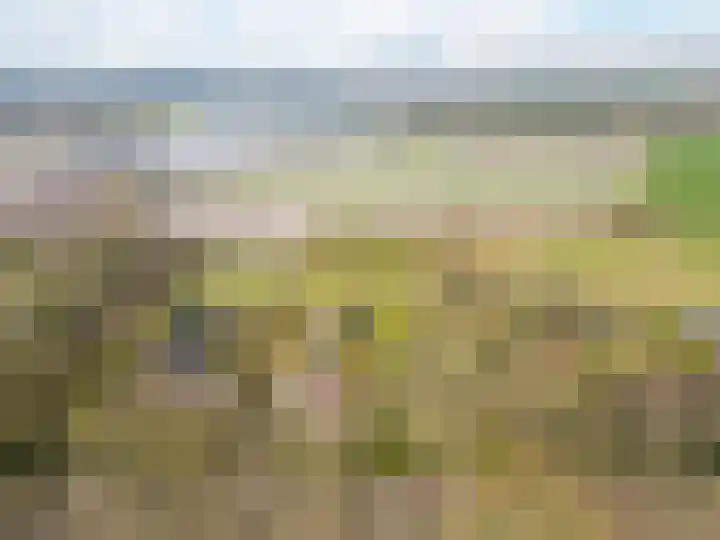 Vervul 4 Rijsbergen thumbnail 33
