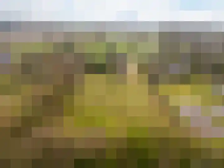 Vervul 4 Rijsbergen thumbnail 34
