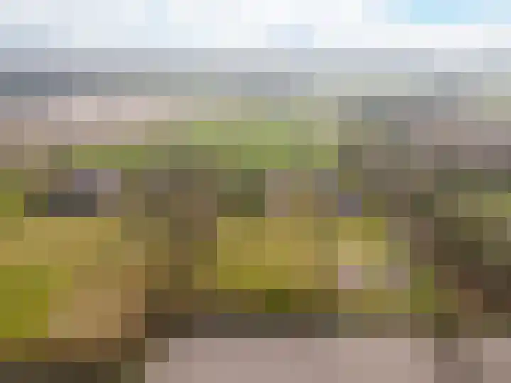 Vervul 4 Rijsbergen thumbnail 35