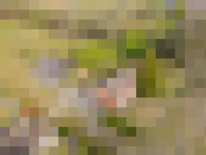 Vervul 4 Rijsbergen thumbnail 36