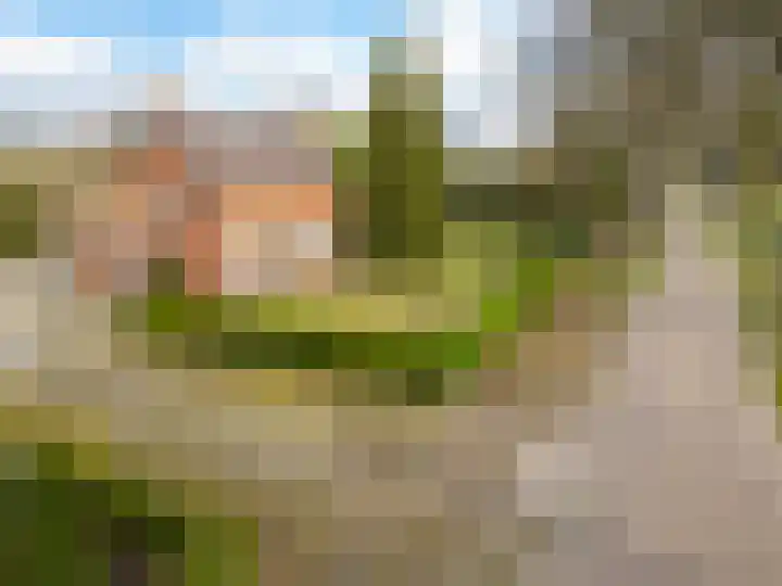 Vervul 4 Rijsbergen thumbnail 37