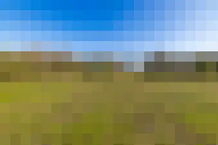 Vervul 4 Rijsbergen thumbnail 6
