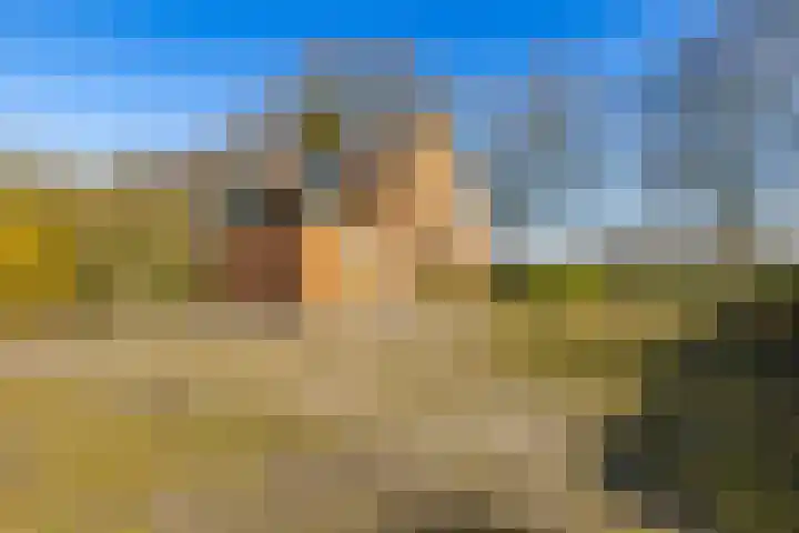 Vervul 4 Rijsbergen thumbnail 8