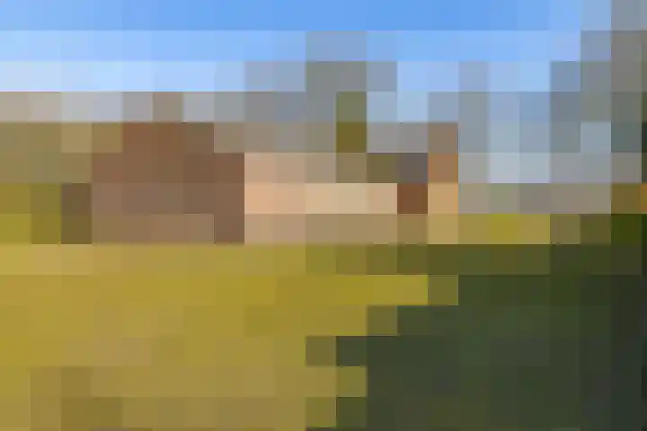 Vervul 4 Rijsbergen thumbnail 9