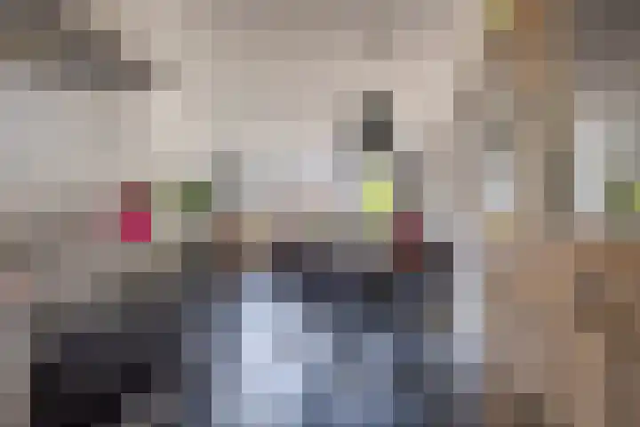 Verwerakker 28 Koog aan de Zaan thumbnail 10