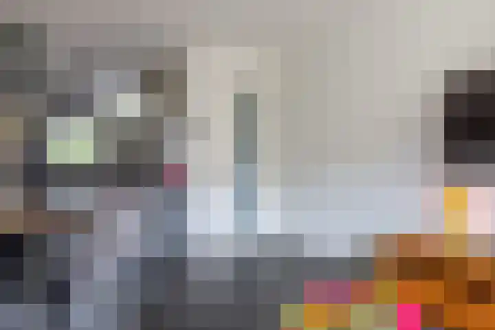 Verwerakker 28 Koog aan de Zaan thumbnail 11