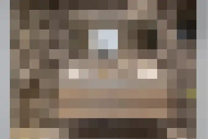 Verwerakker 28 Koog aan de Zaan thumbnail 17