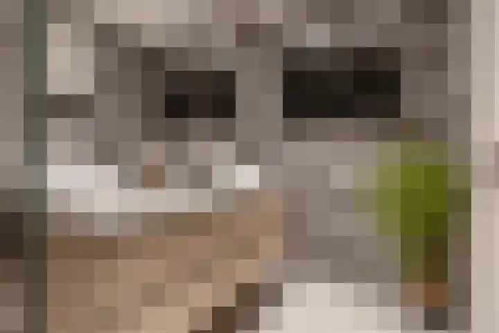 Verwerakker 28 Koog aan de Zaan thumbnail 19