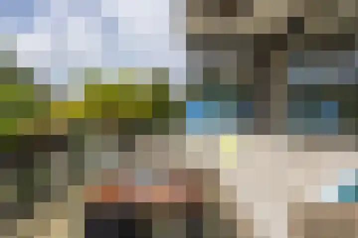 Verwerakker 28 Koog aan de Zaan thumbnail 23